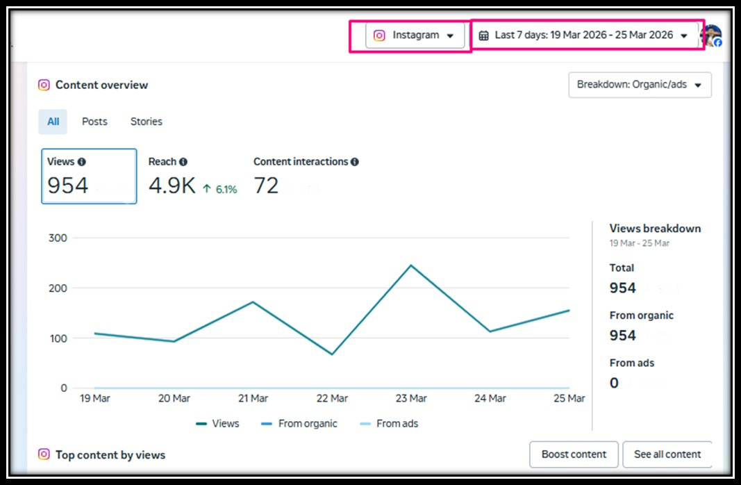 Instagram Growth — 7 Day Snapshot
